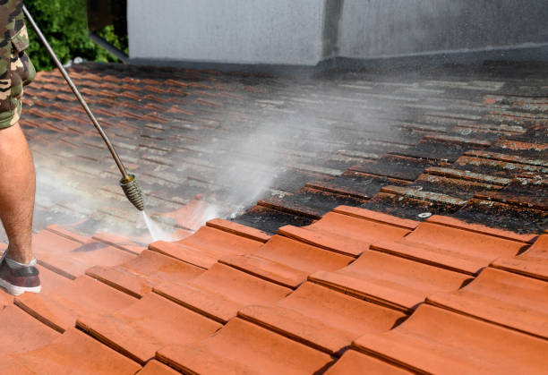 Best House Pressure Washing  in Gleason, TN
