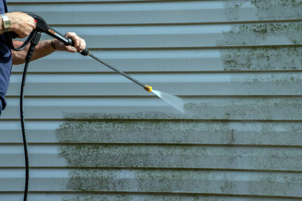 Best Roof Power Washing Services  in Gleason, TN