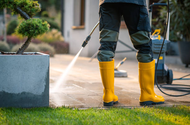 Best Pressure Washing Company Near Me  in Gleason, TN